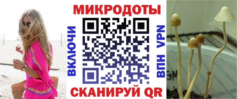 Галлюциногенные грибы Psilocybe  хочу наркоту  кракен вход  Осташков 